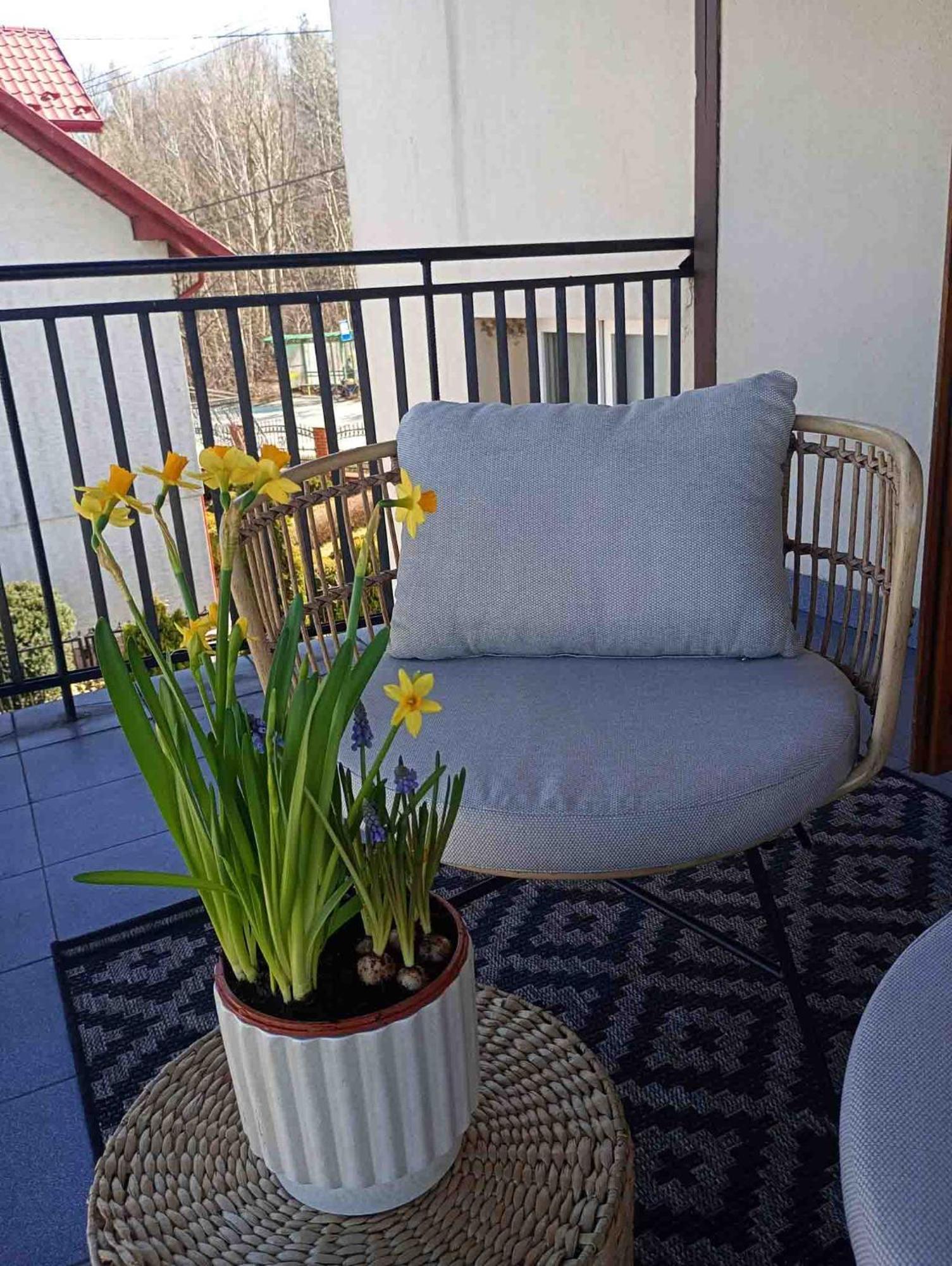 Apartment Sielsko - Anielsko 96m2, Kielce, Ogrod, Grill, Bezplatny Parking